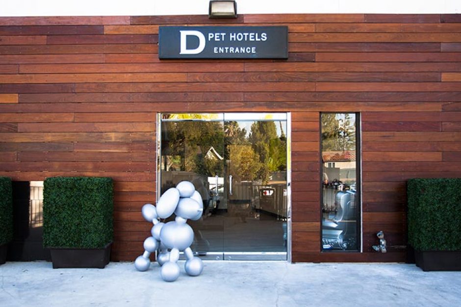 De Pet Hotels un hotel de lujo para perros Por el Perro